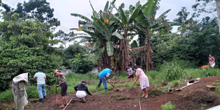 Familias de Malacatán se preparan para establecer un huerto comunal