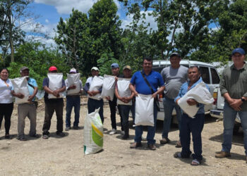 Familias de Sayaxché reciben insumos agrícolas que fortalecen su seguridad alimentaria