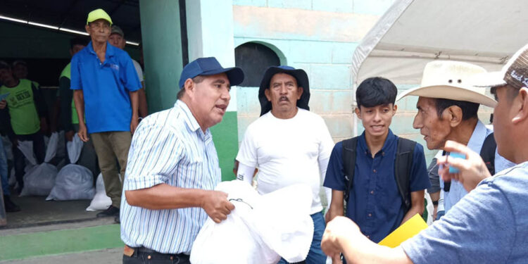 Familias trabajan por el desarrollo de comunidades en Santa Cruz Muluá