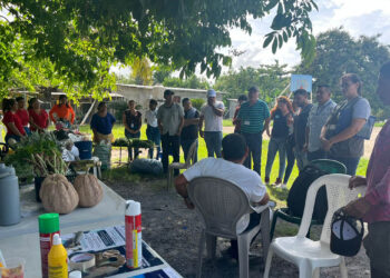Feria del Agricultor en Izabal impulsa la producción local y la sanidad animal
