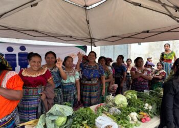 Feria del Agricultor impulsa economía familiar y fortalece a productores