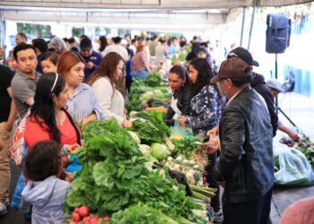 Feria del Agricultor en la capital un éxito en la promoción de la economía local