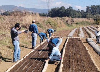 Formando a futuros profesionales de la agricultura en jornadas prácticas