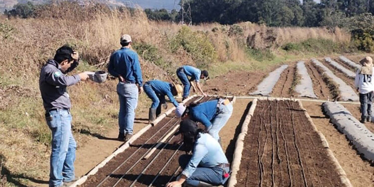 Formando a futuros profesionales de la agricultura en jornadas prácticas