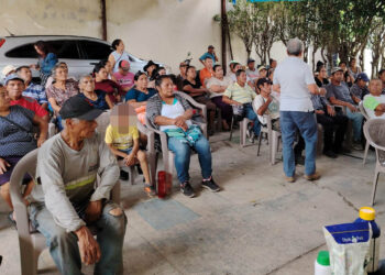 Fortalecen capacidades de agricultores para mejorar cultivos de maíz