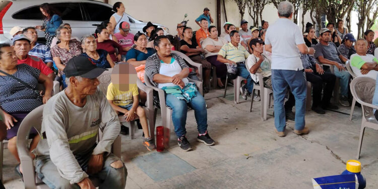 Fortalecen capacidades de agricultores para mejorar cultivos de maíz