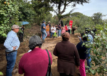 Fortalecen los sistemas productivos de maíz en Sacatepéquez