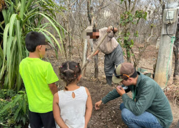 Fortalecen seguridad alimentaria de familia en riesgo en San Jerónimo, Baja Verapaz