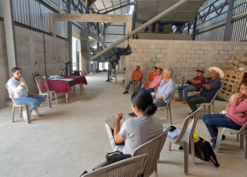 Fortaleciendo las capacidades empresariales de productores de El Progreso