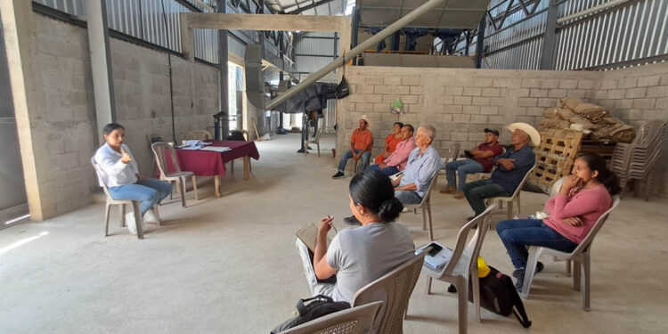 Fortaleciendo las capacidades empresariales de productores de El Progreso