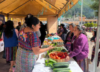 Frescura y variedad en Feria del Agricultor de San Andrés Xecul