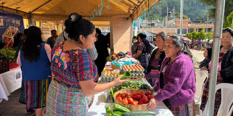 Frescura y variedad en Feria del Agricultor de San Andrés Xecul