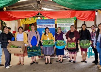 Huertos familiares fortalecen alimentación de familias en San Marcos