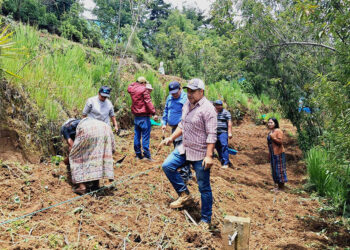 Huerto comunal beneficia a 15 mujeres en Comitancillo