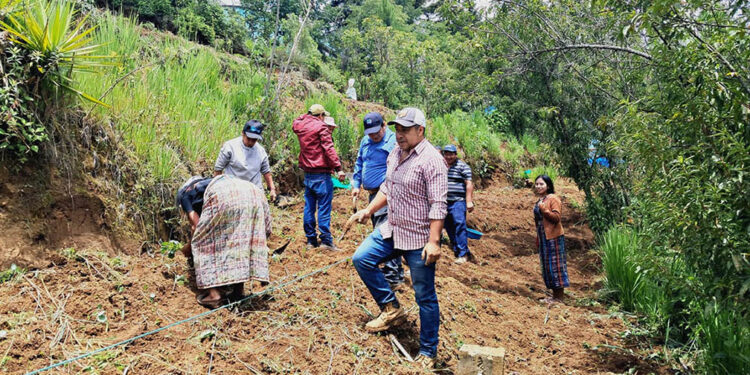 Huerto comunal beneficia a 15 mujeres en Comitancillo