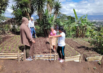 Huerto comunitario de San Miguel Petapa contribuirá con la seguridad alimentaria