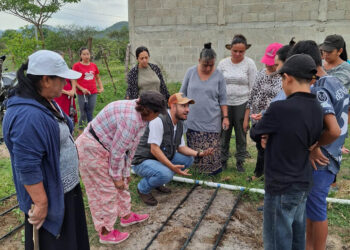 Huerto periurbano fortalece la seguridad alimentaria y la nutrición saludable en Jalapa