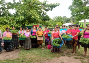 Huertos familiares fortalecen seguridad alimentaria de comunidades en la zona de adyacencia