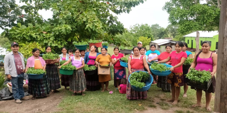 Huertos familiares fortalecen seguridad alimentaria de comunidades en la zona de adyacencia