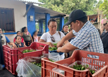 Implementan huertos familiares en Pajapita
