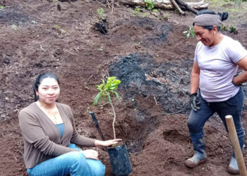 Impulsan agricultura sostenible para conservar el agua y suelo en Sacatepéquez