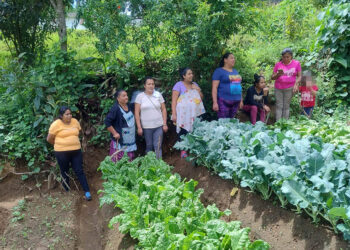 Impulsan diversificación de cultivos y producción agrícola en Sacatepéquez