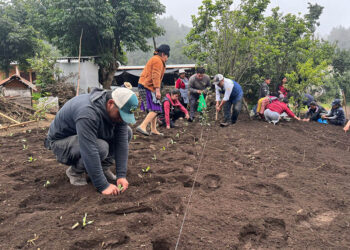 Impulsan el desarrollo agrícola y rural en Sacatepéquez