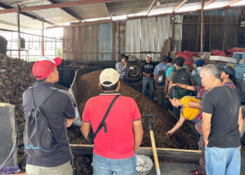 Impulsan prácticas agropecuarias sostenibles en Sacatepéquez