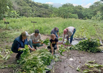 Agricultura y educación impulsan desarrollo del pueblo digno en El Progreso