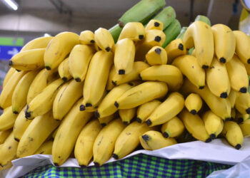 La inocuidad de los alimentos fortalece el sistema agroalimentario