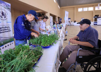Los huertos periurbanos promueven una alimentación sana para los adultos mayores