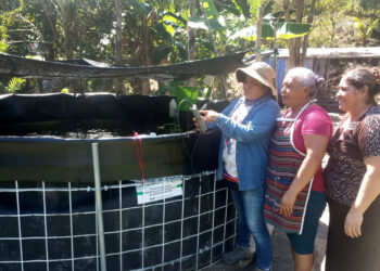 Mujeres de Melchor de Mencos comercializan primera cosecha de tilapia