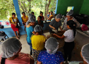 Mujeres de San Agustín Acasaguastlán capacitadas para impulsar huertos familiares