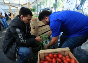 Nuevamente el campo llega a la capital con la Feria del Agricultor