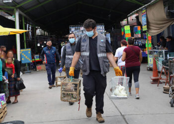 Operativo interinstitucional decomisa animales enjaulados en malas condiciones