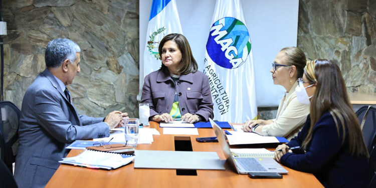 Presidenta en funciones da seguimiento a las acciones prioritarias en seguridad alimentaria y nutricional