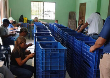 Productores de la Costa Sur reciben insumos y capacitación