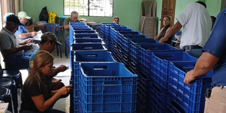 Productores de la Costa Sur reciben insumos y capacitación