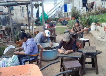 Promoviendo la producción sostenible en Quetzaltenango