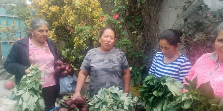 Promueven la diversificación y rotación de cultivos en San Marcos