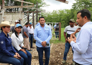 Proyectos de cacao, frutales y ganadería sostenible marcan agenda del MAGA en Petén