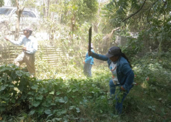 Realizan jornada de limpieza en el Centro Eco Productivo El Remate