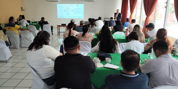 Trabajan para resguardar la cuenca del río Motagua