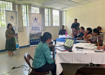 Trabajo interinstitucional fortalece alimentación escolar en Alta Verapaz