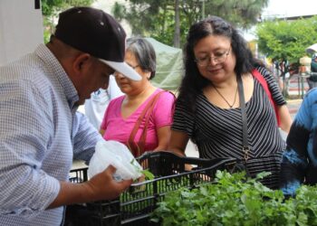 Variedad de productos frescos engalanan Feria del Agricultor en Sacatepéquez