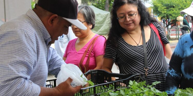 Variedad de productos frescos engalanan Feria del Agricultor en Sacatepéquez