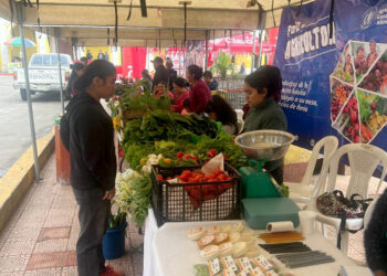 Verduras y frutas frescas a precios accesibles en Feria del Agricultor