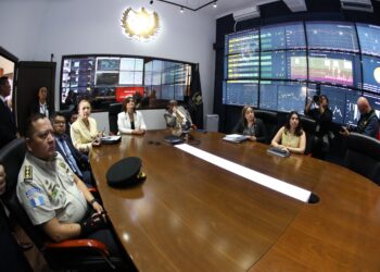 Presidenta en Funciones supervisa estrategias de seguridad y combate a la criminalidad