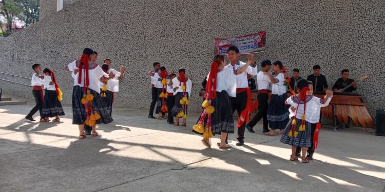 25 Años de Ritmo y Tradición: Los Amigos de la Marimba Celebran en el Parque de la Paz
