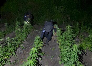 Agentes de SGAIA impactan estructuras dedicadas a la narcoactividad